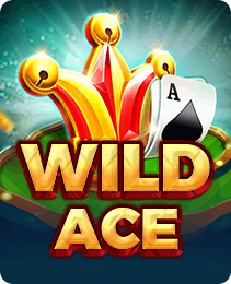 Wild Ace — play on the Y1 game app
